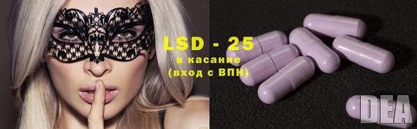 прущие грибы Аркадак