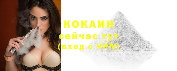 прущие грибы Аркадак