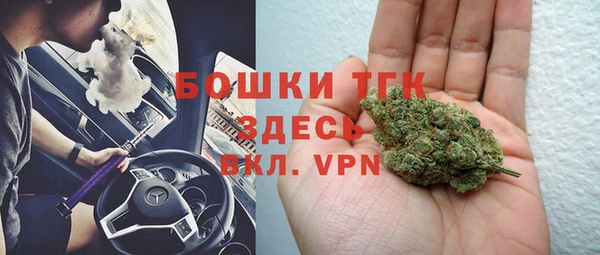 прущие грибы Аркадак